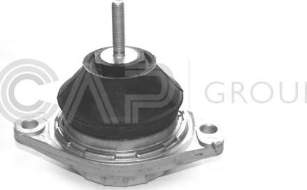 OCAP 1225020 - Suport motor aaoparts.ro