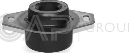 OCAP 1225163 - Suport motor aaoparts.ro