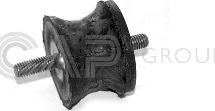 OCAP 1225105 - Suport motor aaoparts.ro