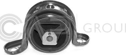 OCAP 1225369 - Suport motor aaoparts.ro