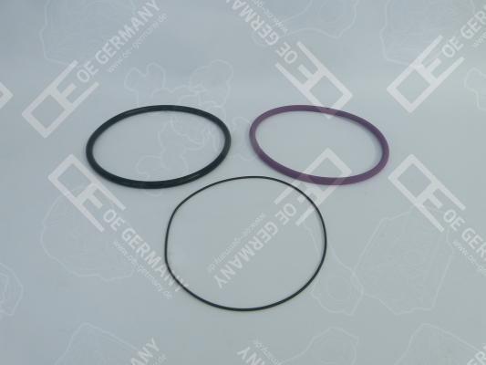 OE Germany 03 0111 070000 - Set garnituri, bucsa cilindru aaoparts.ro