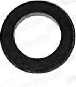 IMPERGOM 22222 - Burduf cauciuc, pompa centrala frana aaoparts.ro