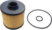 ORVIP 111007 - Filtru combustibil aaoparts.ro