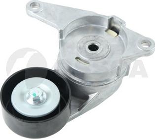 OSSCA 62061 - Amortizor vibratii, curea transmisie cu caneluri aaoparts.ro