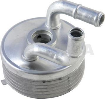 OSSCA 13492 - Radiator ulei, ulei motor aaoparts.ro
