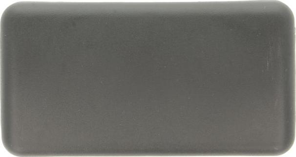 Pacol RVI-MR-017 - Acoperire oglinda exterioara aaoparts.ro