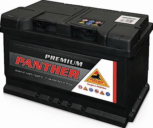 PANTHER SB.5642033 - Baterie de pornire aaoparts.ro