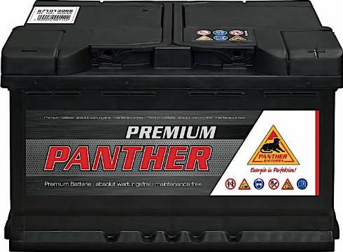 PANTHER SB.5711333 - Baterie de pornire aaoparts.ro