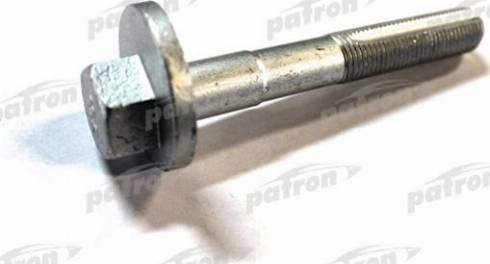 Patron PBLT007 - Surub corectare inclinare aaoparts.ro