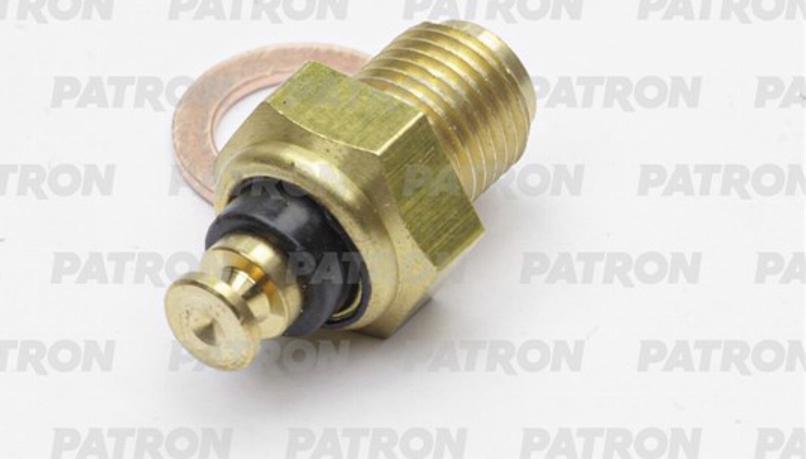Patron PE13009 - Senzor,temperatura ulei aaoparts.ro