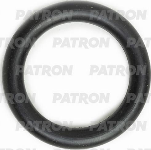 Patron PG5-1001 - Garnitura, galerie admisie aaoparts.ro