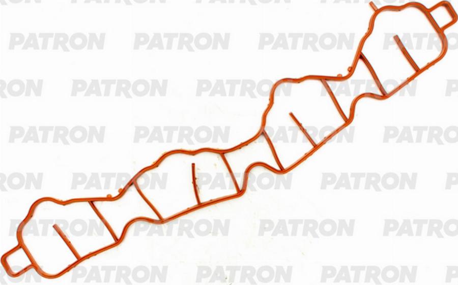 Patron PG5-1190 - Garnitura, galerie admisie aaoparts.ro