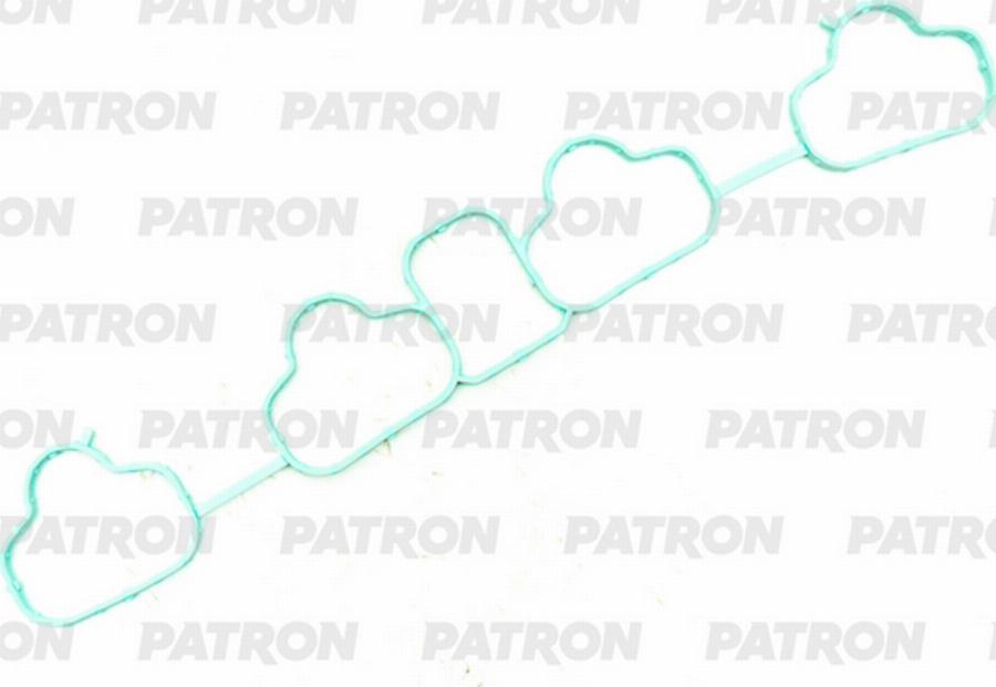 Patron PG5-1185 - Garnitura, galerie admisie aaoparts.ro