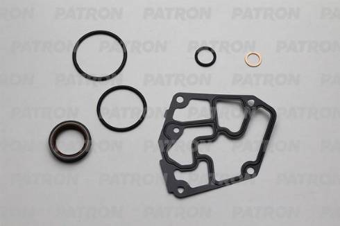 Patron PG1-3003 - Set garnituri, carter aaoparts.ro