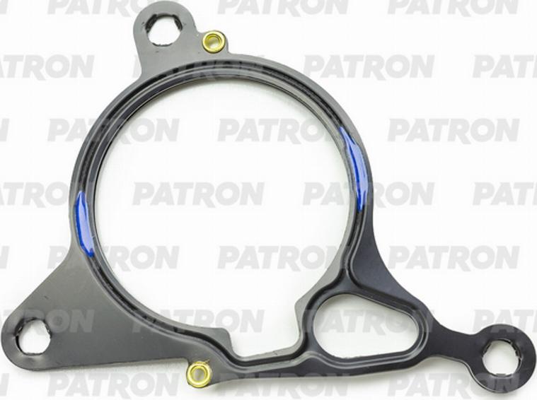 Patron PG3-0069 - Garnitura, pompa vacuum aaoparts.ro