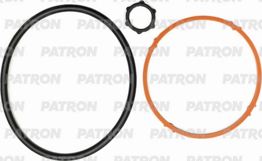 Patron PG3-0065 - Etansare, filtru ulei aaoparts.ro