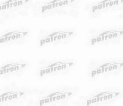 Patron PPS710 - Pompa hidraulica, sistem de directie aaoparts.ro