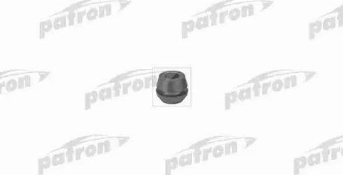 Patron PSE1616 - Suport, ax aaoparts.ro