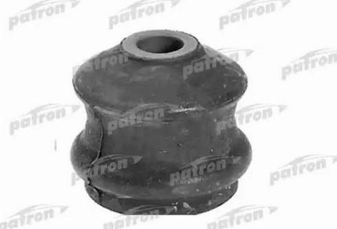 Patron PSE1097 - Suport motor aaoparts.ro