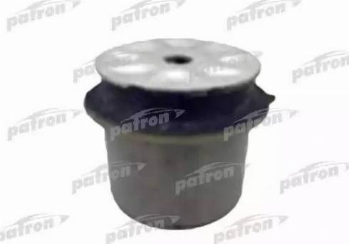 Patron PSE10541 - Suport, ax aaoparts.ro