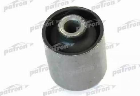 Patron PSE1142 - Suport, ax aaoparts.ro