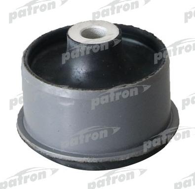 Patron PSE11075 - Suport, ax aaoparts.ro