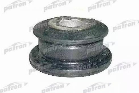 Patron PSE1111 - Suport, ax aaoparts.ro