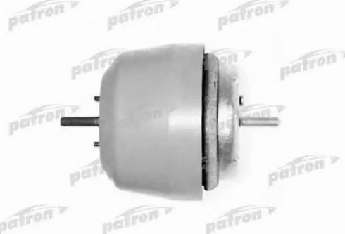 Patron PSE3066 - Suport motor aaoparts.ro