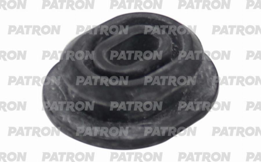 Patron PSE22143 - Suport radiator aaoparts.ro