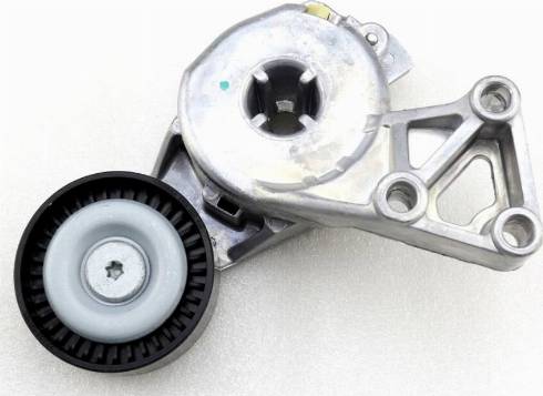 Patron PT31011 - Intinzator curea, curea distributie aaoparts.ro
