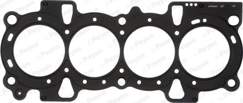 Payen AC5860 - Garnitura, chiulasa aaoparts.ro