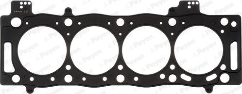 Payen AD5510 - Garnitura, chiulasa aaoparts.ro