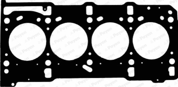 Payen AD5810 - Garnitura, chiulasa aaoparts.ro