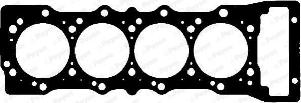 Payen AF5490 - Garnitura, chiulasa aaoparts.ro