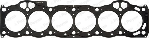 Payen AG9990 - Garnitura, chiulasa aaoparts.ro