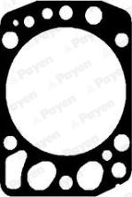 Payen AH5430 - Garnitura, chiulasa aaoparts.ro