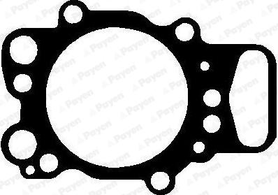 Payen AH6550 - Garnitura, chiulasa aaoparts.ro