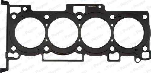 Payen AH6320 - Garnitura, chiulasa aaoparts.ro