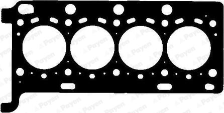 Payen AH7880 - Garnitura, chiulasa aaoparts.ro