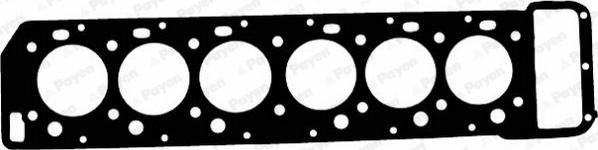 Payen BE880 - Garnitura, chiulasa aaoparts.ro