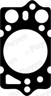 Payen BK570 - Garnitura, chiulasa aaoparts.ro