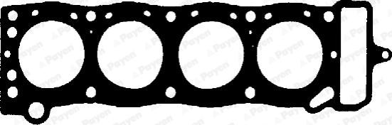 Payen BK700 - Garnitura, chiulasa aaoparts.ro