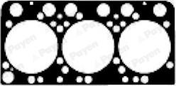 Payen BS560 - Garnitura, chiulasa aaoparts.ro