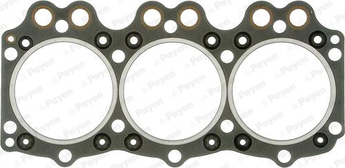 Payen BS351 - Garnitura, chiulasa aaoparts.ro