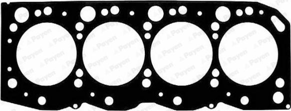 Payen BW950 - Garnitura, chiulasa aaoparts.ro