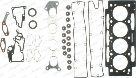 Payen CD5300 - Set garnituri, chiulasa aaoparts.ro