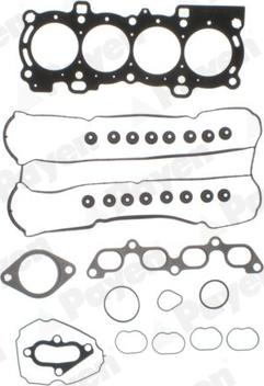 Payen CG9560 - Set garnituri, chiulasa aaoparts.ro