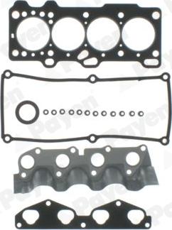 Payen CG5360 - Set garnituri, chiulasa aaoparts.ro