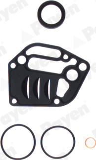 Payen EY841 - Set garnituri, carter aaoparts.ro