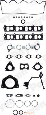 Payen FA5560 - Set garnituri complet, motor aaoparts.ro